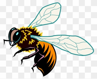 Honey Bee Vector Ai Clipart