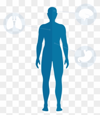 Body Blue Well Of - Human Body Blue Png Clipart
