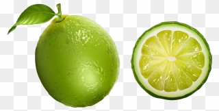 Lime Clipart Transparent - Png Download