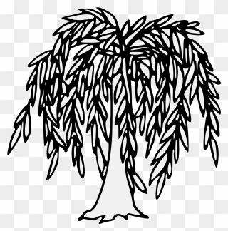 Free Png Willow Tree Clip Art Download Pinclipart