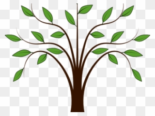 Willow Tree Clipart - Simple Transparent Background Tree Clipart - Png Download
