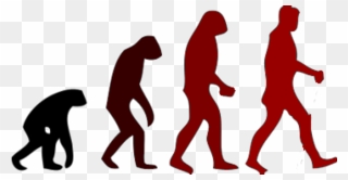 March Of Progress Human Evolution Neanderthal - Monkey To Human Stages Clipart