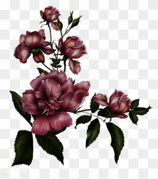 Transparent Background Gothic Rose Png Clipart