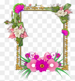 Flowers Tropical Frame Png - Borders Design Flowers Frame Clipart