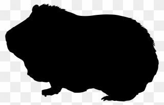 Skinny Pig Silhouette Animal Clip Art - Guinea Pig Silhouette Clipart - Png Download