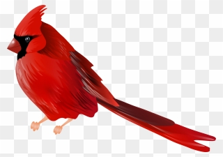 Cardinals Clipart Jpg Transparent Download Cardinals - Cardinal Bird Png