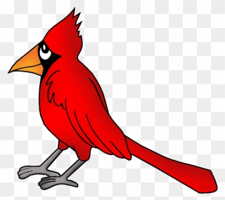 Northern Cardinal Bird Clip Art - Cardinal Clip Art - Png Download
