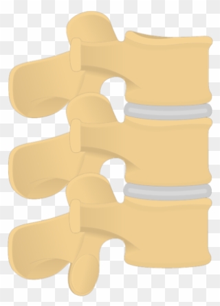 Spine Clipart Front - Wood - Png Download