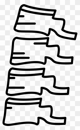 Spine Bone - Vertebral Column Clipart