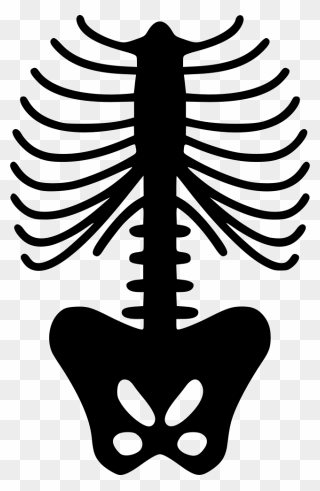 Spine Skeleton - Skeleton Rib Cage Pattern Clipart