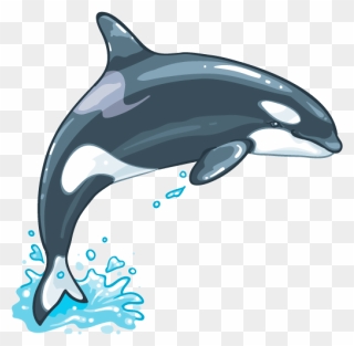 Whale Png Clipart
