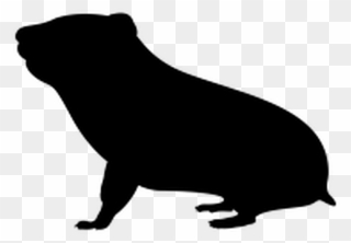 Transparent Hamster Black And White Clipart - Hamster Png Silhouette Transparent
