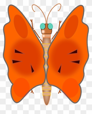 Animals, Lovely, Butterfly, Bug, Colors, Insect, Animal - Clip Art - Png Download