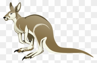 Collection Of Transparent - Transparent Kangaroo Clipart - Png Download