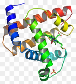 3d Protein Structure Clipart