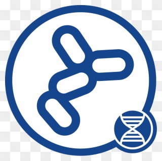 Bacteria Dna Icon - Yeast Dna Extraction Clipart - Png Download