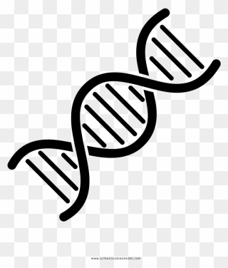 Dna Coloring Page - Transparent Dna Icon Clipart