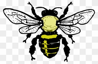 Silhouette Bee Clipart Black And White - Png Download