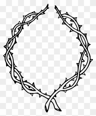 Thorns Transparent Png - Vines With Thorns Drawing Clipart