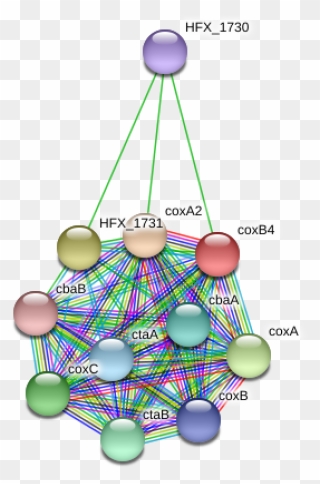 Coxb4 Protein - Illustration Clipart