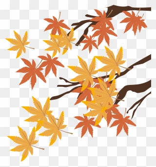Drawing Branches Maple Tree - Hand Painted Maple Leaf Clipart