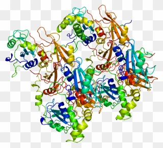 6 Wallpaper Protein X4214044142 - Tyrosine Protein Kinase Syk Clipart