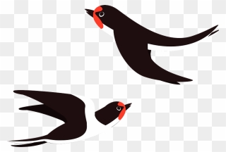 Swallow Birds Clipart - Swallow - Png Download
