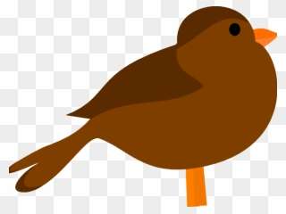 Cartoon Brown Bird Png Clipart