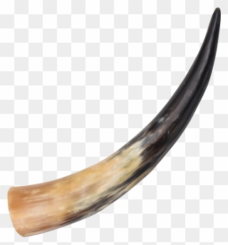 Drinking Horn Dagger Arkansas Toothpick - Animal Horn Clipart
