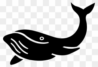 Vector Illustration Of Aquatic Marine Mammal Baleen - Baleia Vetor Png Clipart