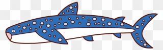 Illustration Of Whale Shark Clipart
