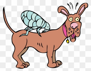 Flea On A Dog Cartoon Clipart