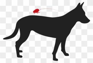Silhouette Of A Whippet Clipart