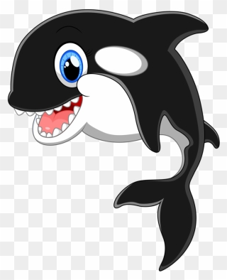 Cartoon Orca Whale Clipart - Png Download