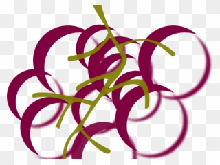 Drawings Of Grape Cluster Clipart