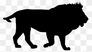 Lion Silhouette Related Keywords Suggestions - Black Lion Clip Art - Png Download