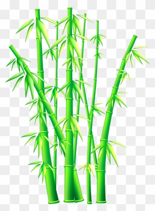 Picture - Transparent Background Bamboo Clipart Png