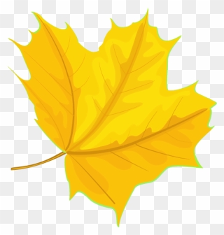 Maple Leaf Clipart