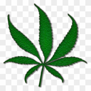 Medical Cannabis Marijuana Joint Cannabis Sativa - Black Cannabis Leaf Png Clipart
