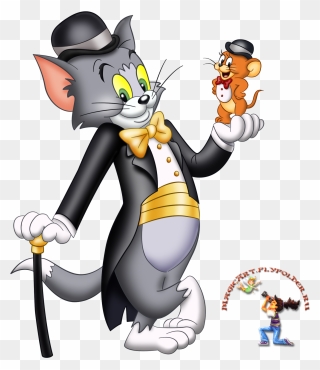 Tom And Jerry Spotlight Collection Vol 1 Dvd Clipart