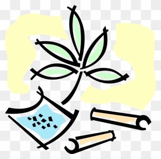 Transparent Weed Vector Png - Narcotic Clip Art