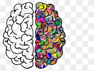 Left Right Brain Png Clipart