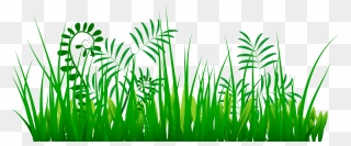 Tree Growth Clipart Vector Transparent Plant Clipart - Whatsapp Anjali Name Dp - Png Download