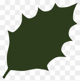 Green Leaf 06 Png Images - Holly Leaf Silhouette Clipart