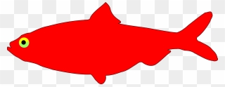 Red Flag Clip Art - Transparent Transparent Background Fish Cartoon - Png Download