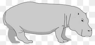 Transparent Background Hippo Clipart - Png Download