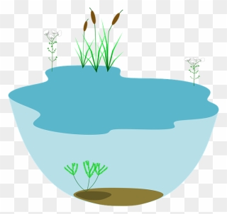 Lake Ecosystem Ecosystems Water - Ecosystems Transparent Clipart