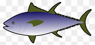 Tuna Fish Clipart - Png Download