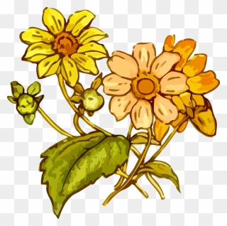 Yellow Flower Transparent Draw Clipart