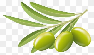 Green Olives Transparent Clip Art Image - Transparent Background Olive Clipart - Png Download